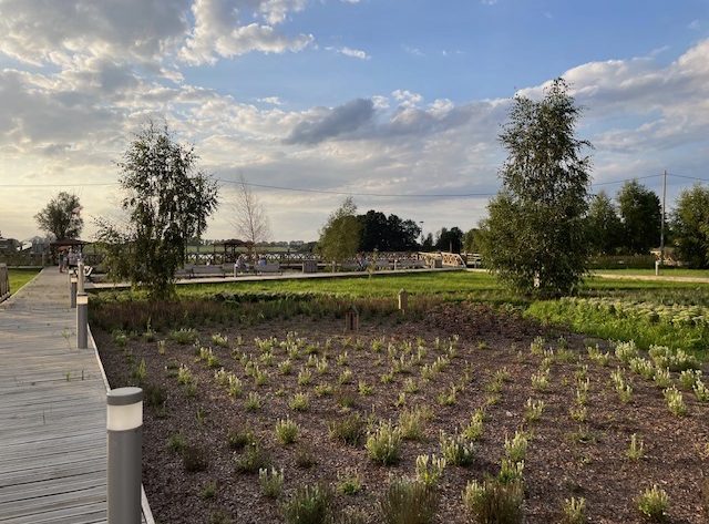 Aroma Parku w Bartążku